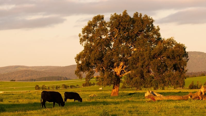 Farmland