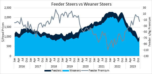 Feeders vs weaners