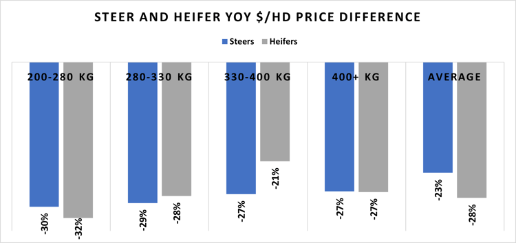 Fig 3 auctionsplus commerical steer and heifer 2022-23 Steer and Heifer YoY $ HD Price Difference