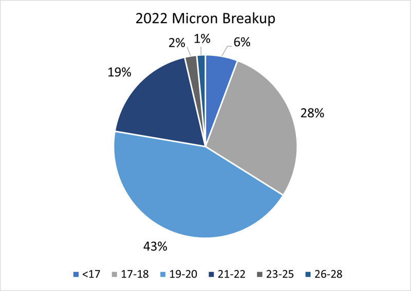 Figure 2 Micron Breakup 16.12.22