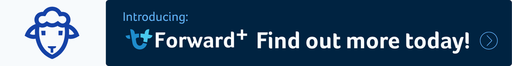 Forward+ gains traction as lamb prices hold strong