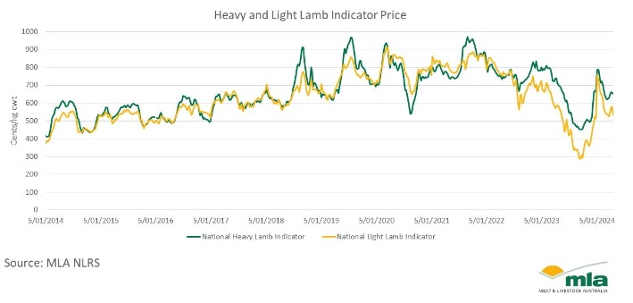 Heavy and Light Lamb Indicator Price