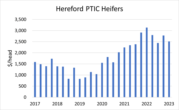 Hereford PTIC Heifers