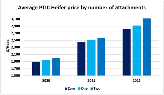 How best to market your PTIC heifers_2