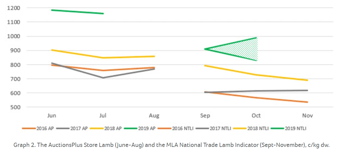 How do Winter lamb prices compare to slaughter prices in Spring 2