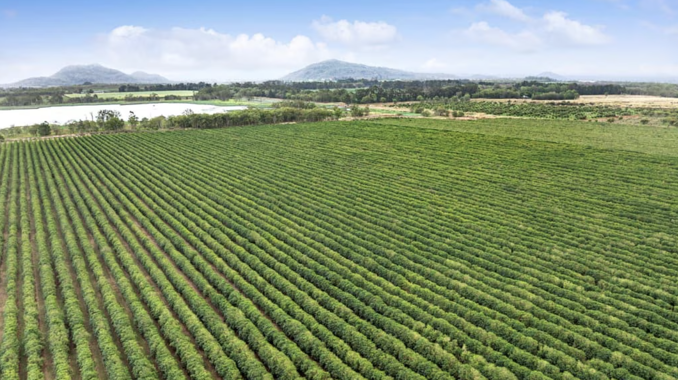Jason Howe Property Roundup: Historic Howe family farming portfolio hits the ...