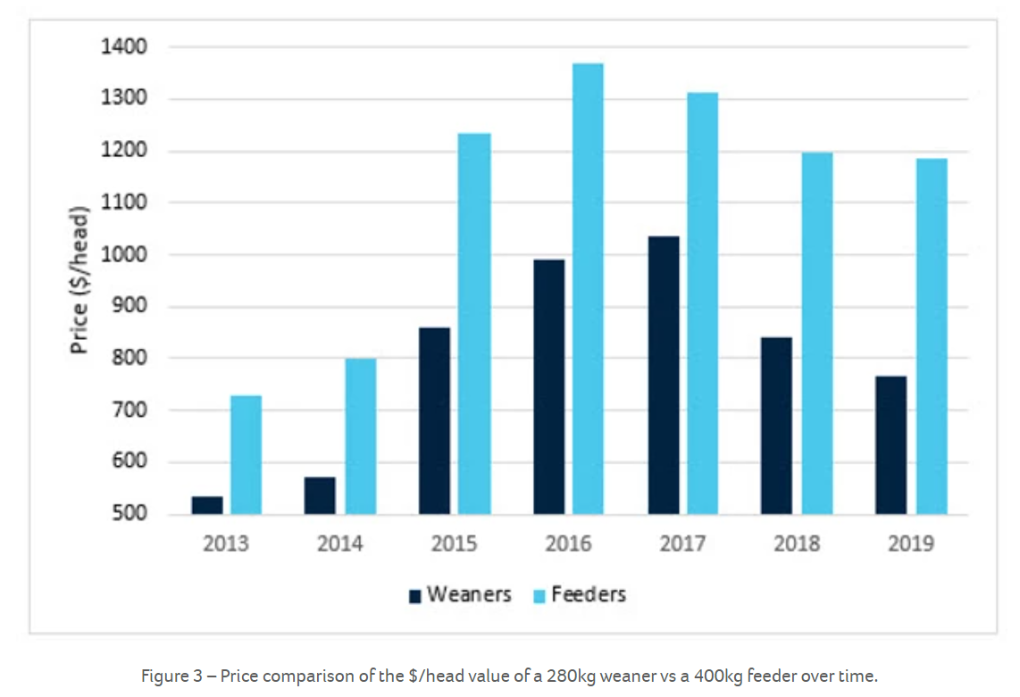 In the current market should vendors hold onto weaners to sell as feeders 3