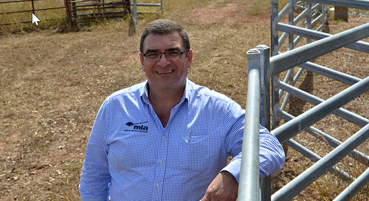 Man in blue shirt standing in cattle yards.