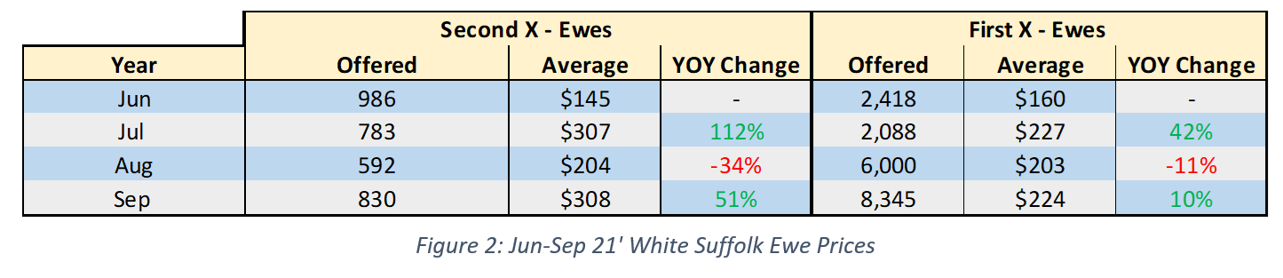 Jun-Sep 21 White Suffolk Ewe Prices