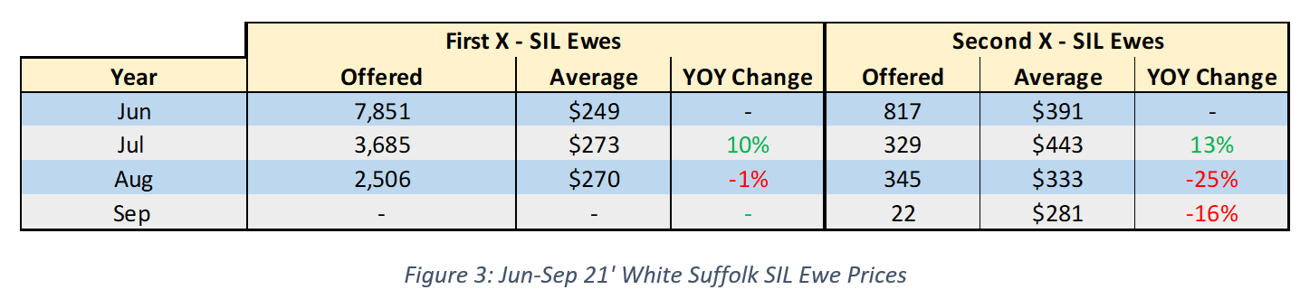 Jun-Sep 21 White Suffolk SIL Ewe Prices