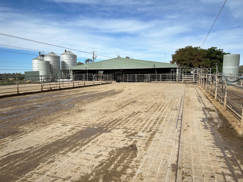 Katunga Dairy 2