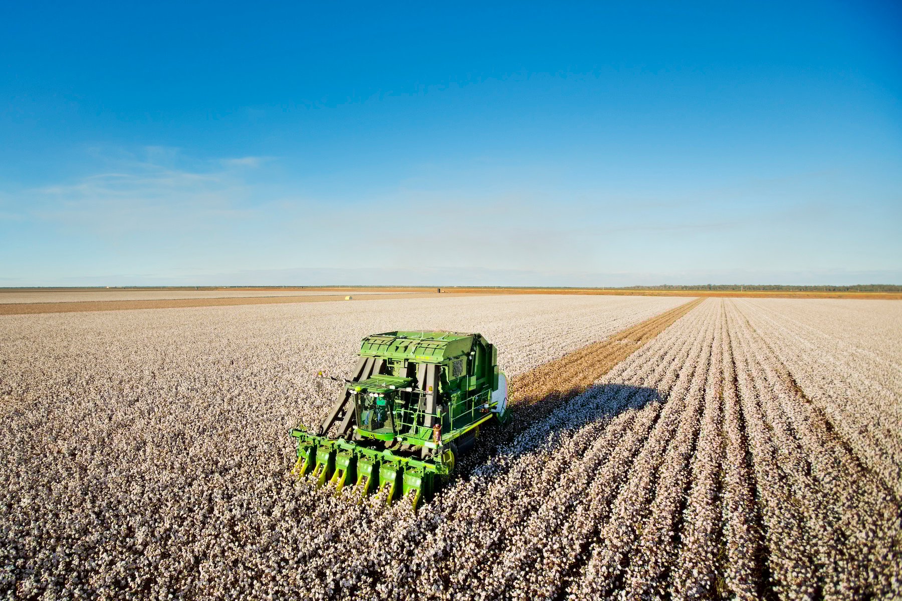 Cotton harvester on property