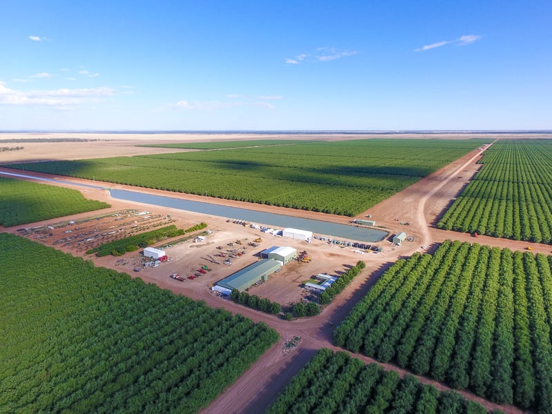 Lachlan and Murrumbidgee Portfolio 1