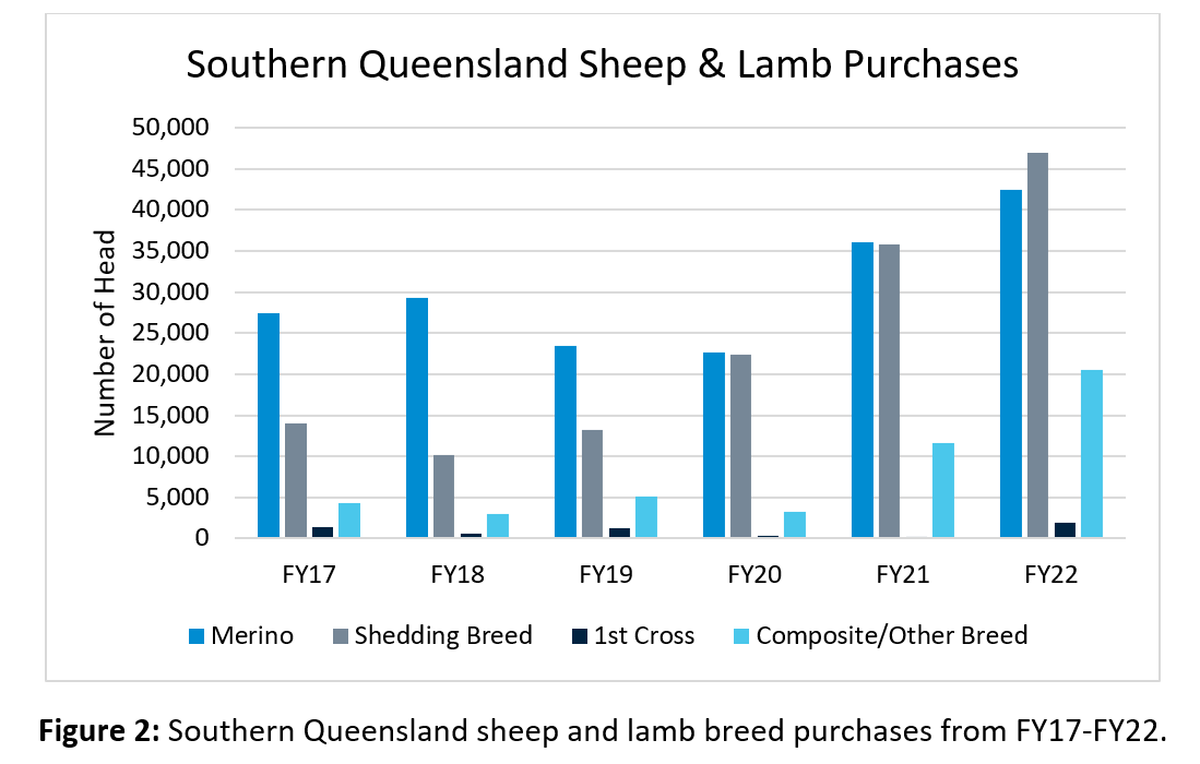 Lamb Chops (And Changes) Graph 2