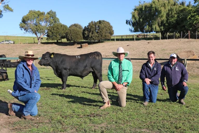 Landfall Angus bull exceeds expectations with $240,000 price tag_2
