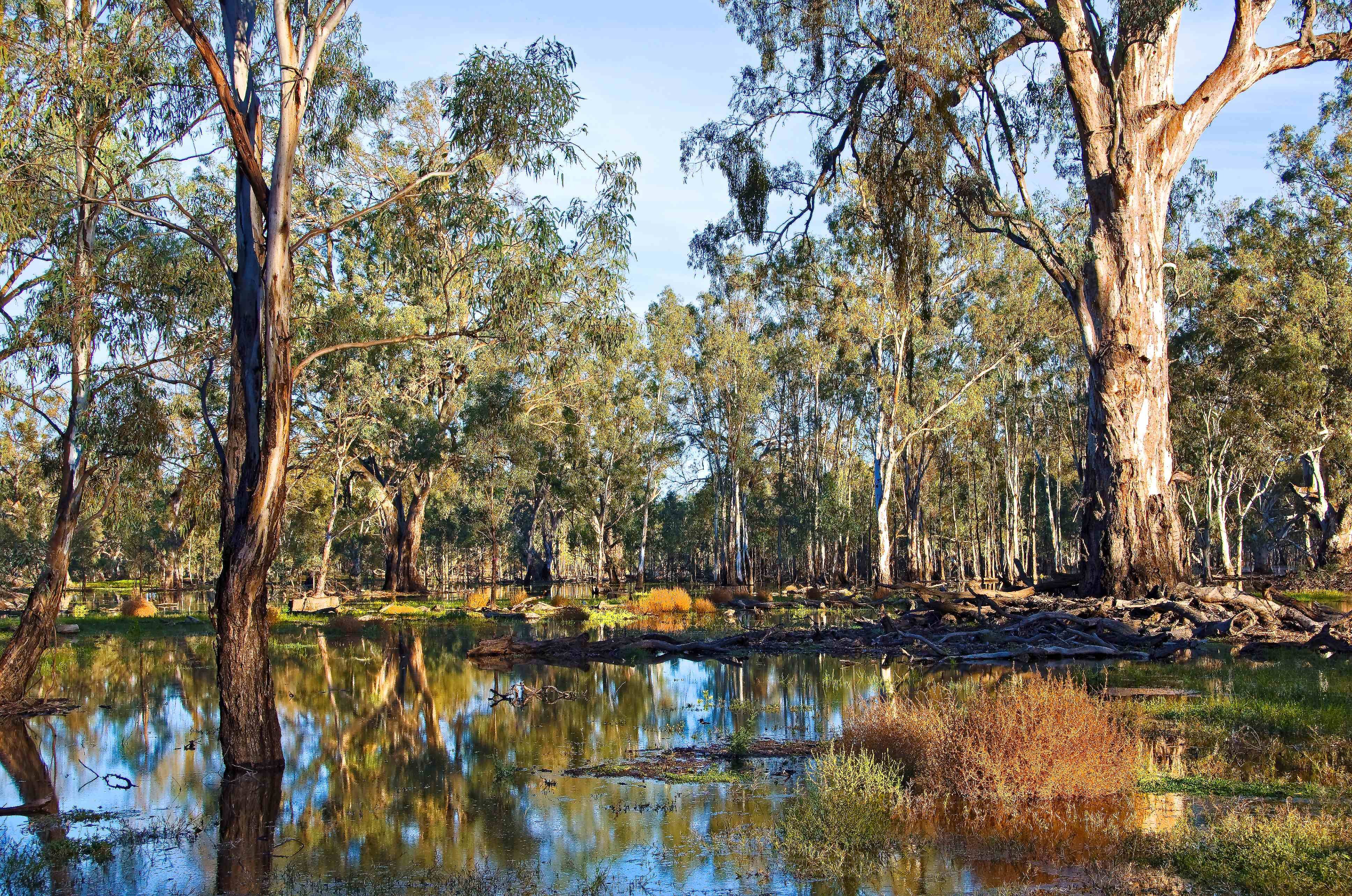 Murray Darling River system