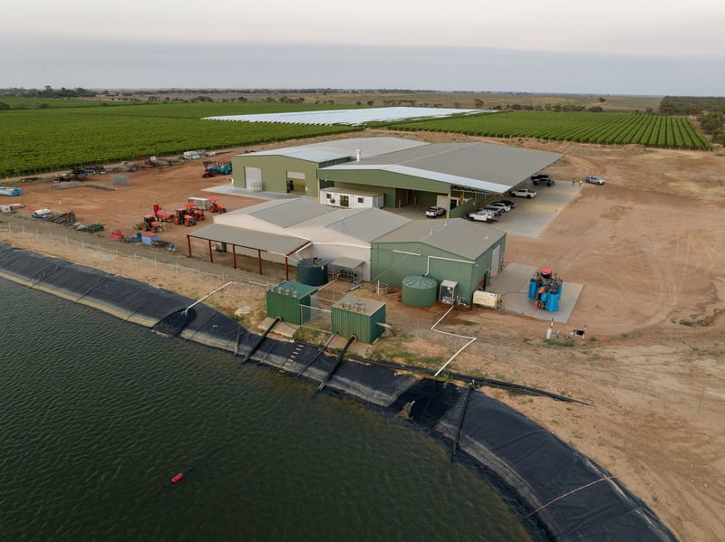 Manta Farms_Colliers 2