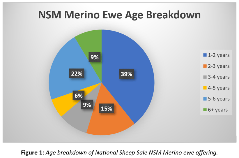 Merino Age Breakdown-1