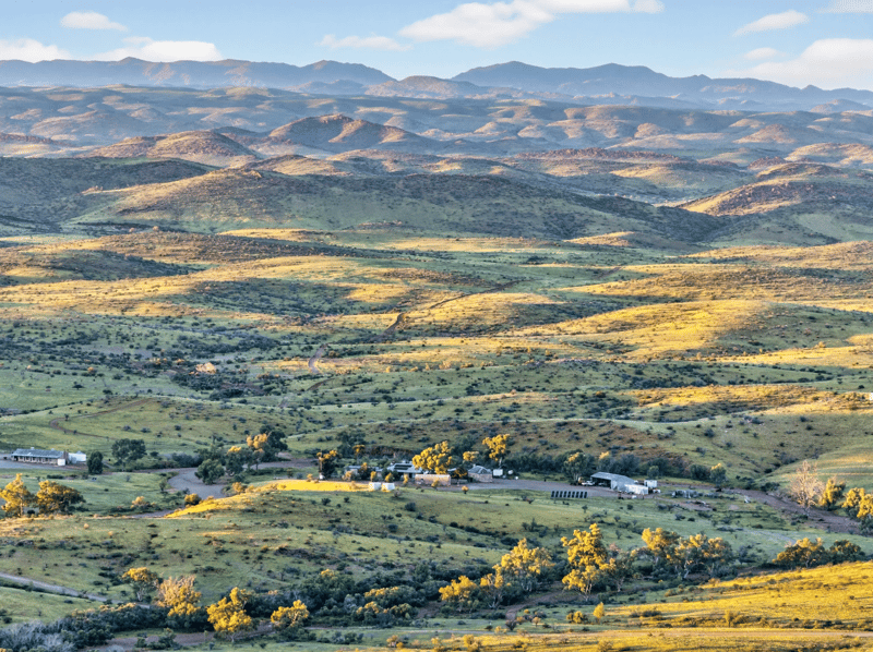 Mount Freeling Station 2