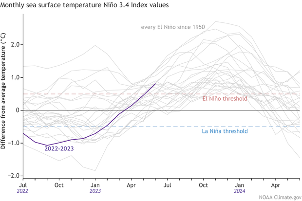 NOAA_Monthly Sea Surface Temperatures