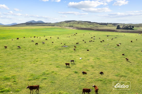 Nalinga offers rare farm buying opportunity on Flinders Island_2