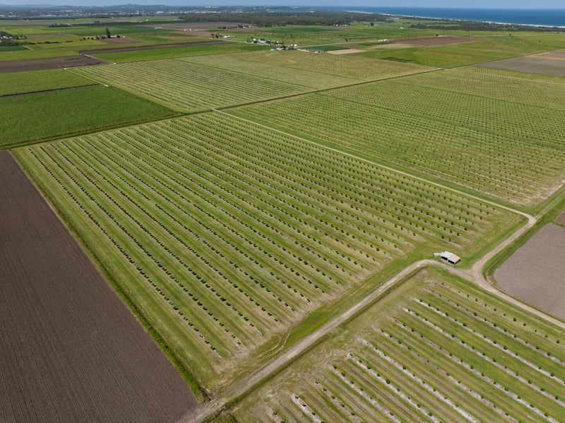 Nambucca Farms