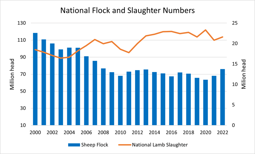 National Flock and Slaughter Numbers 31.1.23