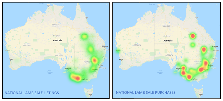 National lamb sale listing and purchases 11.3.22