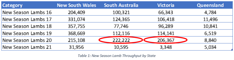 New Season Lambs Leaping onto The Box in 2021 2