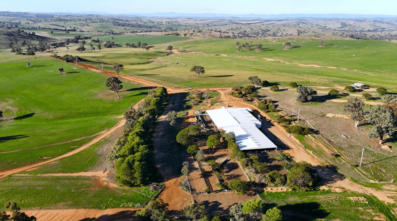 North Tahara Aggregation