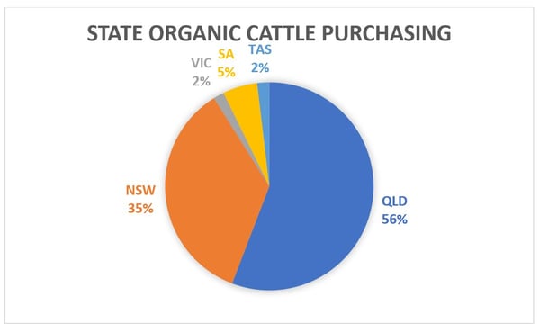 Organic Cattle Is the Grass Greener 5