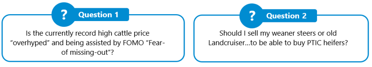 Overdue, Overhyped or Overheated the state of the australian cattle market 2