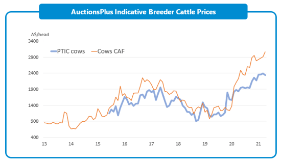 Overdue, Overhyped or Overheated the state of the australian cattle market 6