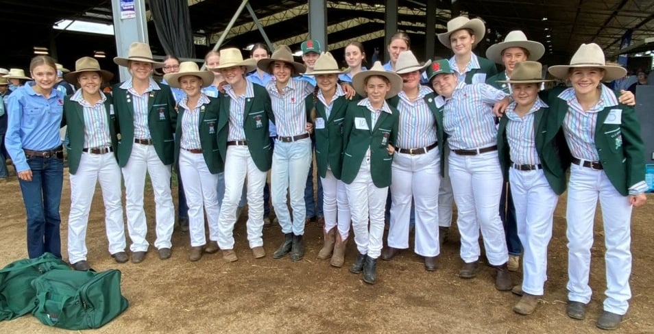 PLC Armidale charity steers raising funds for disadvantaged kids and cardiac research-1