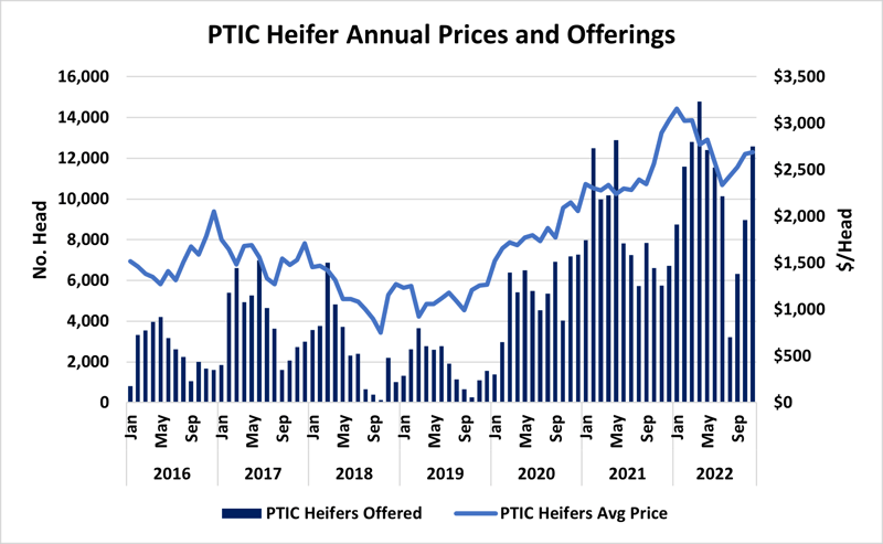 PTIC heifer annual prices and offerings 1.12.22