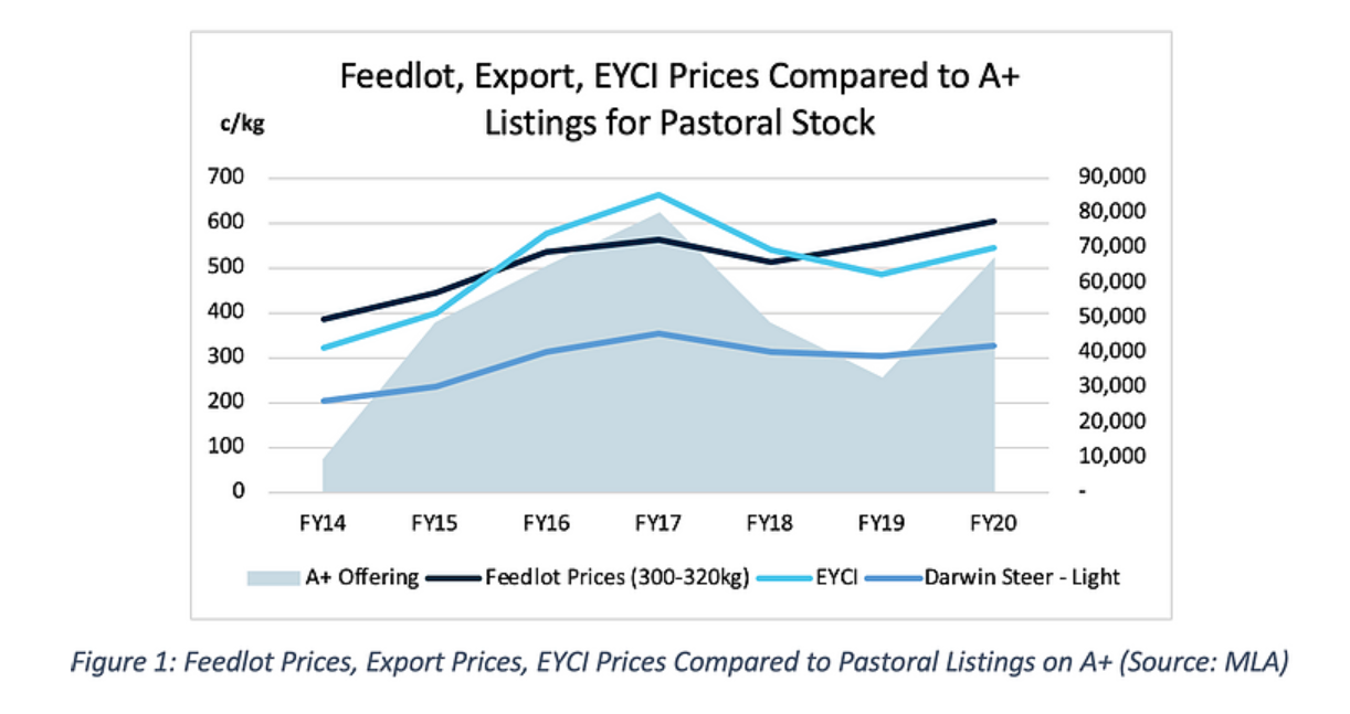 Pastoral Stock Surge Online 1