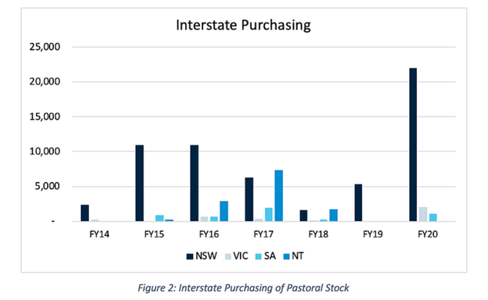 Pastoral Stock Surge Online 2