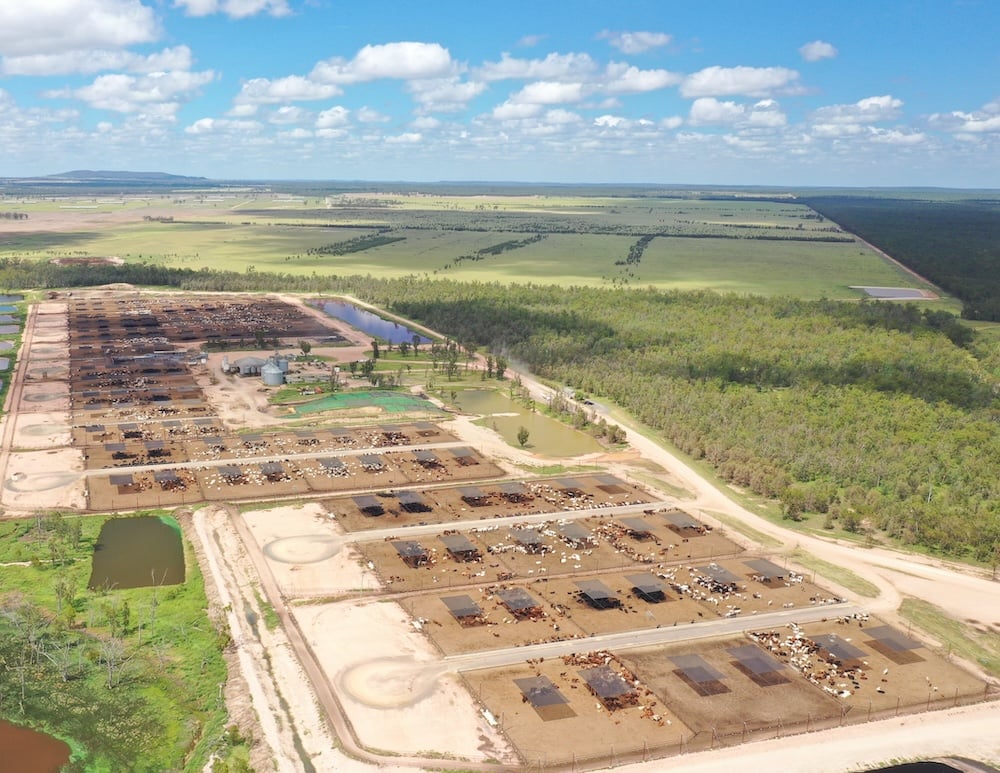 Pinegrove Feedlot (Mort & Co)