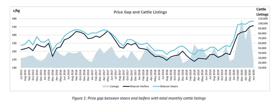 Price gap between steers and heifers has fallen below 10% 1