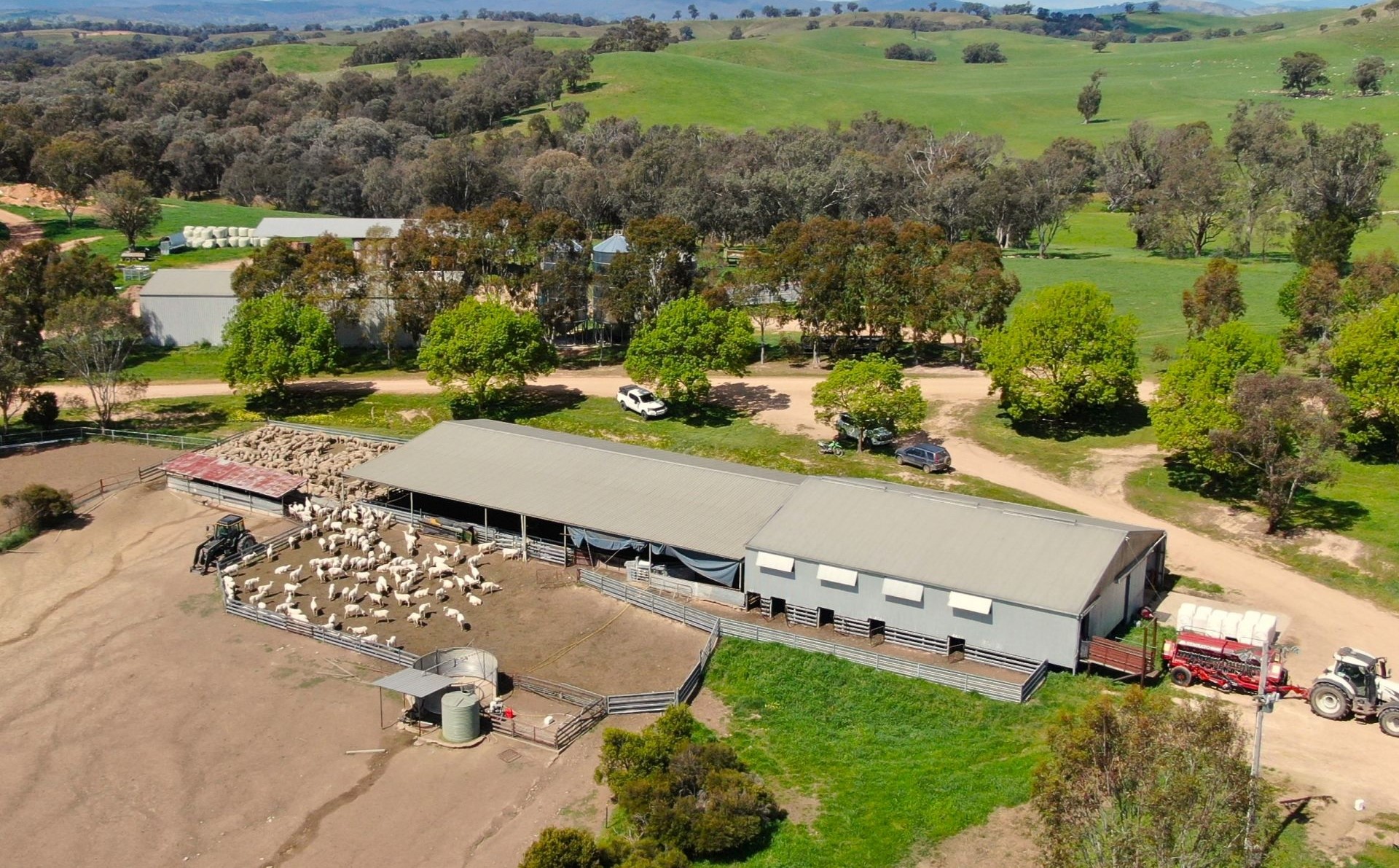 Property Roundup the Kimberley Cattle Portfolio hits the market_3