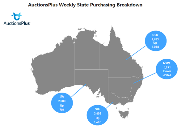 Purchases chart