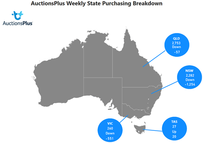 Purchases map-Aug-11-2023-06-23-39-0903-AM