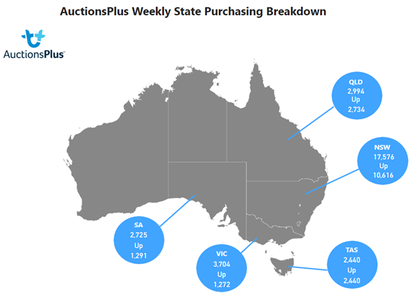 Purchases map-Jul-20-2023-11-36-31-1814-PM