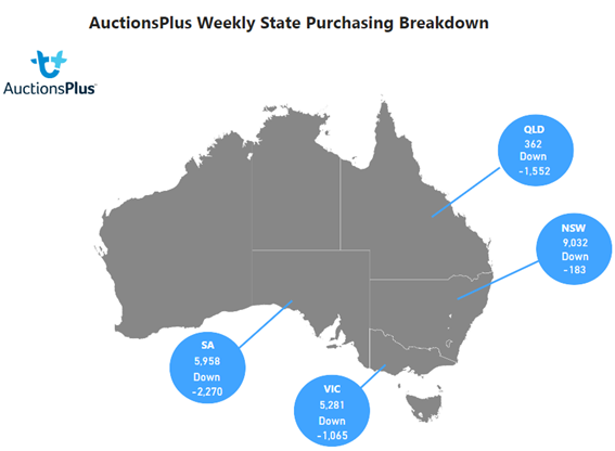 Purchases map-Jun-09-2023-12-16-20-3414-AM