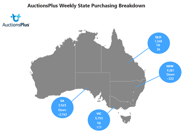 Purchases map-Jun-16-2023-01-35-56-6468-AM