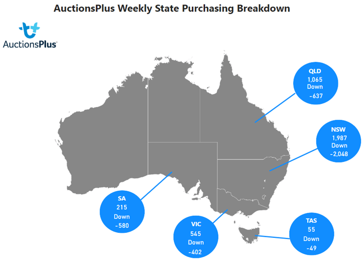 Purchases map-Jun-30-2023-05-30-16-2745-AM