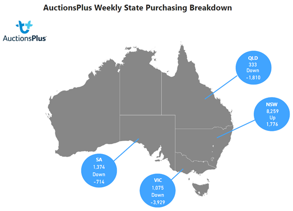 Purchasing Breakdown-1