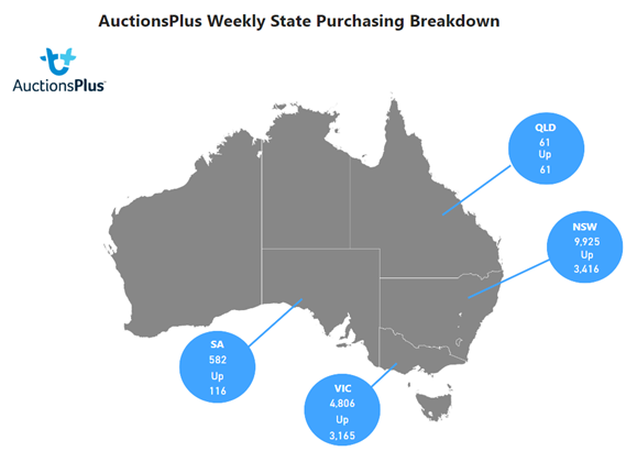 Purchasing Breakdown-2