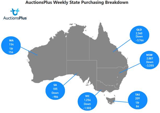 Purchasing Breakdown-Dec-15-2023-05-05-12-0778-AM