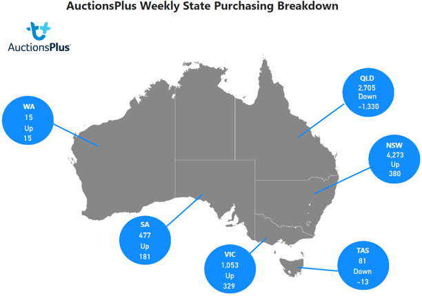 Purchasing Breakdown-Nov-24-2023-05-21-51-9769-AM